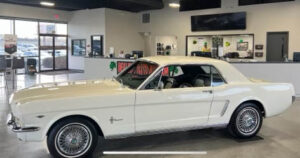 DAA 1964 1/2 Ford Mustang