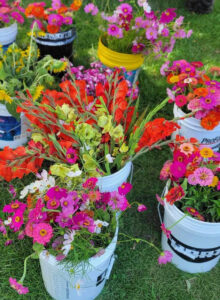 Thurman Potted Flowers